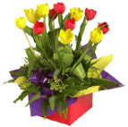 http://www.beautifulflowers.com.au/images/DSC_6701_t.gif